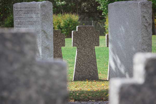 headstone-cleaning-wasp-thumb